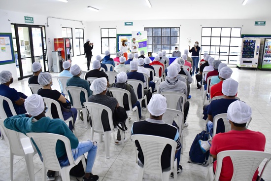 Abren 70 nuevos empleos para trabajadores de Quilichao Abren 70 nuevos empleos para trabajadores de Quilichao