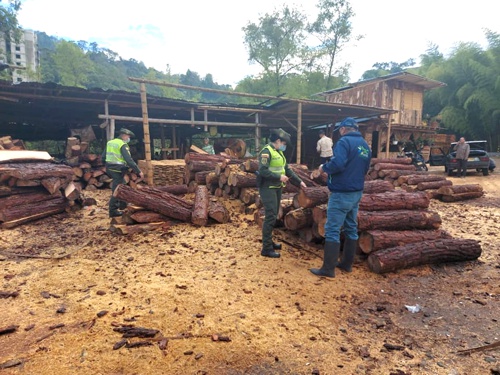 Control ambiental en vías del Cauca para evitar tráfico de madera ilegal.