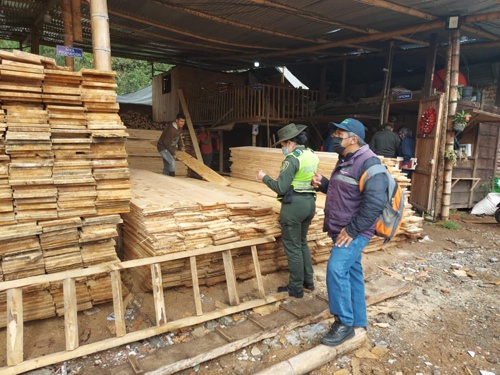 Control ambiental en vías del Cauca para evitar tráfico de madera ilegal.