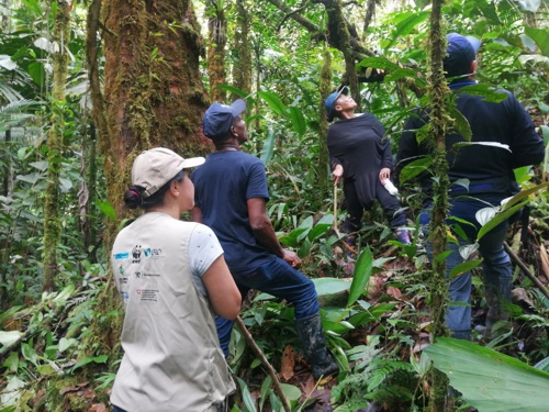 En Guapi fortalecen procesos de manejo y uso sostenible del bosque En Guapi fortalecen procesos de manejo y uso sostenible del bosque