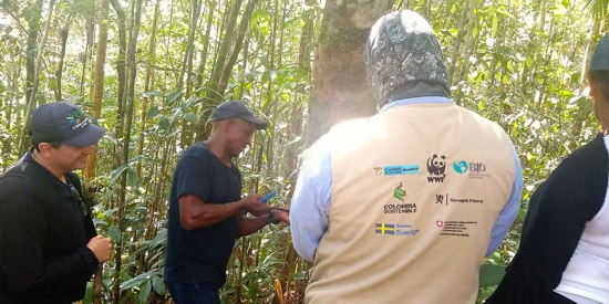 En Guapi fortalecen procesos de manejo y uso sostenible del bosque En Guapi fortalecen procesos de manejo y uso sostenible del bosque