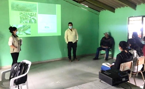 En el Cauca se garantiza la supervivencia de 80.000 abejas