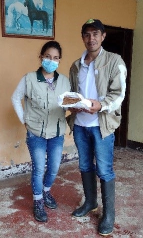 En el Cauca se garantiza la supervivencia de 80.000 abejas