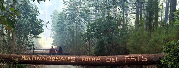 Indígenas Misak del Cauca piden salida de multinacionales de los territorios Indígenas Misak del Cauca piden salida de multinacionales de los territorios