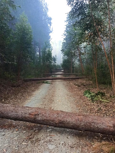 Indígenas Misak del Cauca piden salida de multinacionales de los territorios Indígenas Misak del Cauca piden salida de multinacionales de los territorios