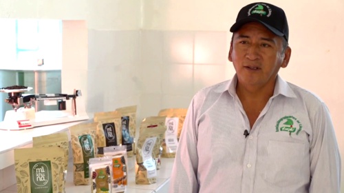 Jorge Cueltan productor de pimienta Jorge Cueltan productor de pimienta
