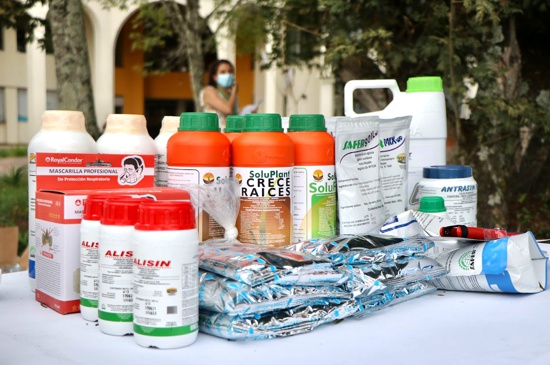 5.300 millones para el fortalecimiento de la cadena del aguacate hass en el Cauca 5.300 millones para el fortalecimiento de la cadena del aguacate hass en el Cauca