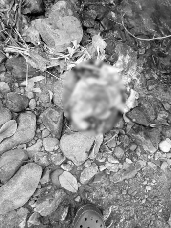 Aterrador hallazgo de bebé sin vida en Caloto