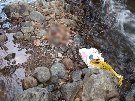 Aterrador hallazgo de bebé sin vida en Caloto