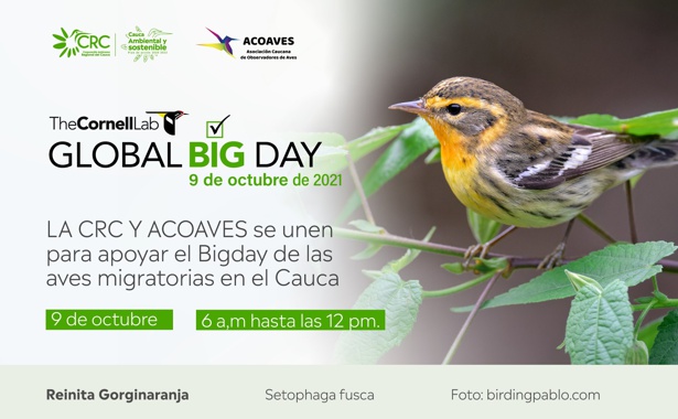 Cauca participará del Día Mundial de Observación de Aves