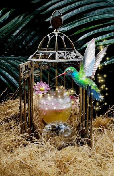 Colibrí de bosque - Festival de coctelería como tributo a animales en vía de extinción
