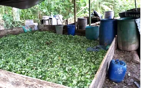 Fracasó “La Paz con Legalidad” en el Cauca Fracasó “La Paz con Legalidad” en el Cauca