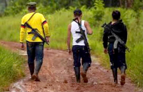 Fracasó “La Paz con Legalidad” en el Cauca Fracasó “La Paz con Legalidad” en el Cauca