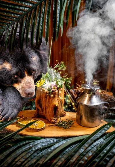 Oso de Anteojos - Festival de coctelería como tributo a animales en vía de extinción