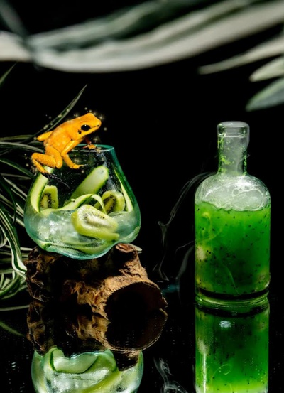 Rana Dorada - Festival de coctelería como tributo a animales en vía de extinción
