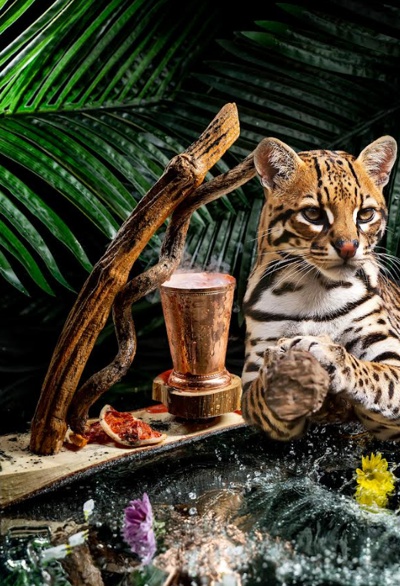 Tigrillo - Festival de coctelería como tributo a animales en vía de extinción