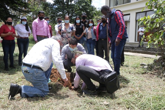 CRC fortalece su accionar frente a la legalidad forestal del Cauca CRC fortalece su accionar frente a la legalidad forestal del Cauca