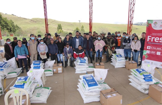 Freseros del Cauca beneficiados con más de 3.100 millones de pesos Freseros del Cauca beneficiados con más de 3.100 millones de pesos