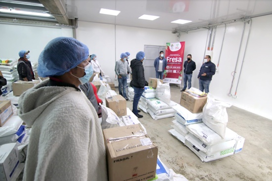 Freseros del Cauca beneficiados con más de 3.100 millones de pesos Freseros del Cauca beneficiados con más de 3.100 millones de pesos