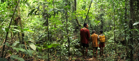 La conquista moderna en las selvas colombianas La conquista moderna en las selvas colombianas