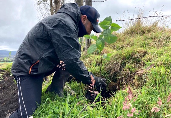 Más de 12 mil árboles fueron plantados en Cauca: CRC Más de 12 mil árboles fueron plantados en Cauca: CRC