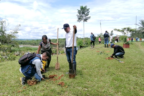 Más de 12 mil árboles fueron plantados en Cauca: CRC Más de 12 mil árboles fueron plantados en Cauca: CRC