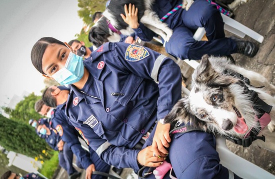 Popayán por primera vez, sede de pruebas para perros de rescate para la atención de emergencias de bomberos. Popayán por primera vez, sede de pruebas para perros de rescate para la atención de emergencias de bomberos.