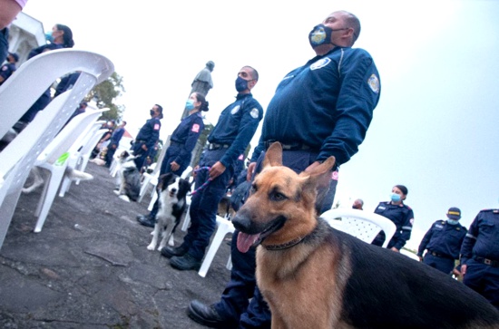 Popayán por primera vez, sede de pruebas para perros de rescate para la atención de emergencias de bomberos. Popayán por primera vez, sede de pruebas para perros de rescate para la atención de emergencias de bomberos.