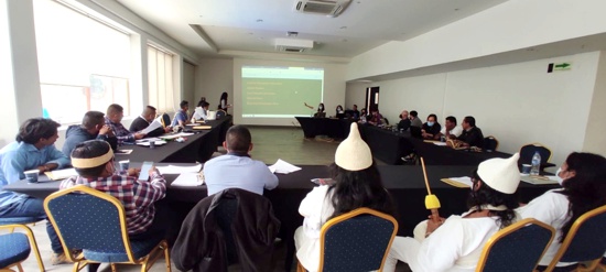 Pueblos indígenas participan en construcción de sanaciones Pueblos indígenas participan en construcción de sanaciones