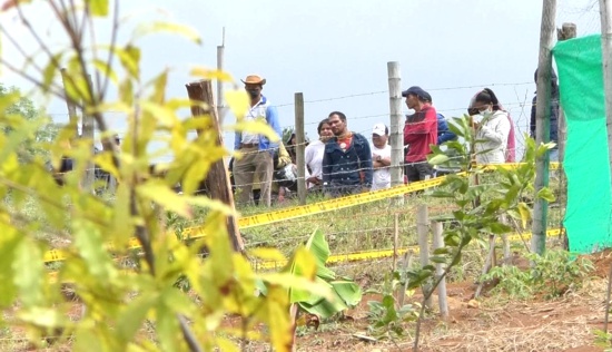 Gobernación del Cauca salvaguarda predios del departamento en Popayán Gobernación del Cauca salvaguarda predios del departamento en Popayán