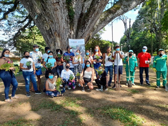 Recuperan espacios verdes alrededor del Parque Bolívar