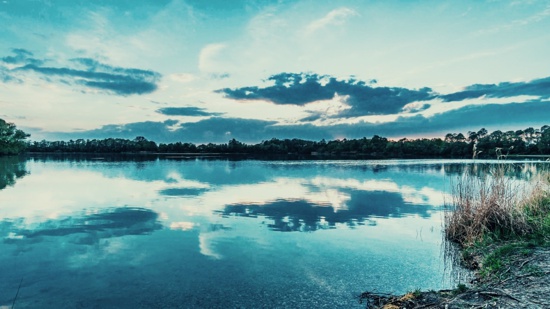 Actuar por los humedales es actuar por la humanidad y la naturaleza