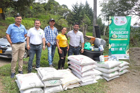 El Cauca avanza en la exportación de aguacate Hass El Cauca avanza en la exportación de aguacate Hass