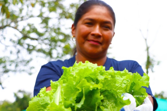 En Quilichao se siembran huertas caseras para lograr la paz - “Emprendedores en Producción de Cultivos Transitorios”
