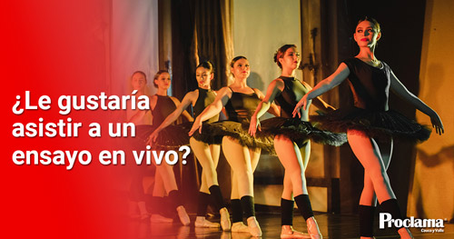 Ensayos en vivo de ballet y danza contemporánea, son abiertos al público