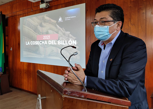 Mujeres promueven la producción del café en el Cauca