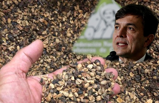 Fotomontaje ALuGe