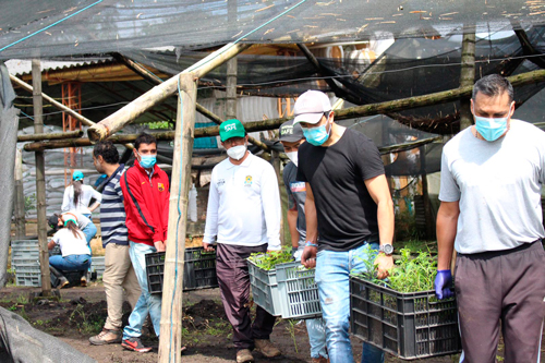 Se fortalece producción de caña panelera en Popayán 
