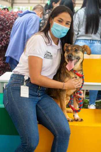 Se reactivan las campañas animalistas en Popayán Se reactivan las campañas animalistas en Popayán
