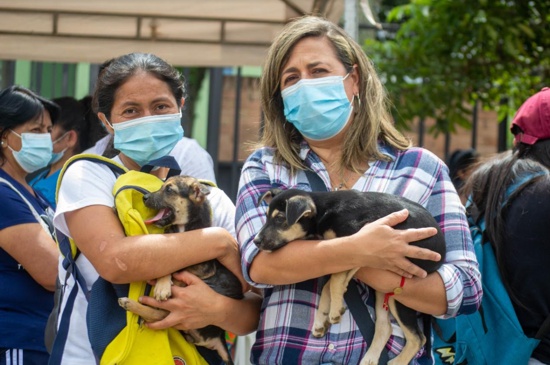 Se reactivan las campañas animalistas en Popayán Se reactivan las campañas animalistas en Popayán