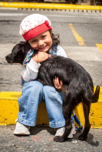 Se reactivan las campañas animalistas en Popayán Se reactivan las campañas animalistas en Popayán