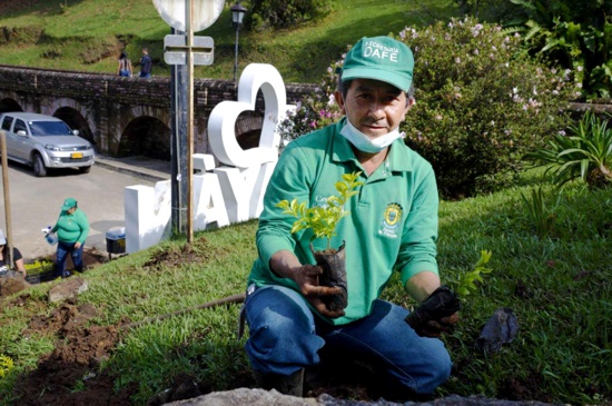 Popayán avanza en la reforestación con participación comunitaria