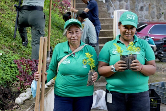 Popayán avanza en la reforestación con participación comunitaria