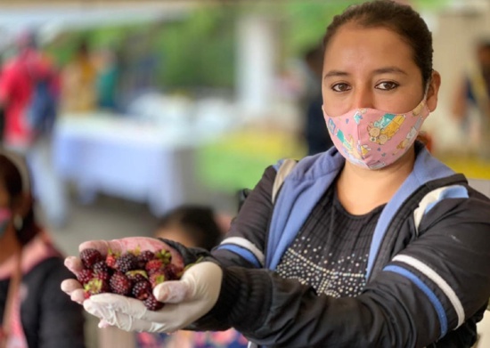 “Popayán con sentido rural”, la apuesta por fortalecer la economía campesina “Popayán con sentido rural”, la apuesta por fortalecer la economía campesina
