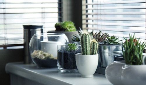 Tres opciones sencillas para decorar tu hogar Tres opciones sencillas para decorar tu hogar