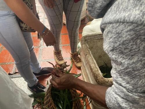 Duro golpe al tráfico de especies en Semana Santa Duro golpe al tráfico de especies en Semana Santa