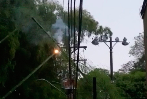 Infraestructura eléctrica sufre daño por caía de árbol 
