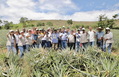 336 Piñeros beneficiados gracias a importante inversión del Gobierno Departamental