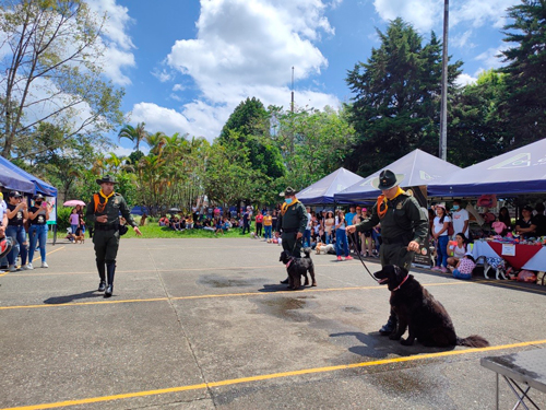 Show canino de la Policía Nacional. Show canino de la Policía Nacional.