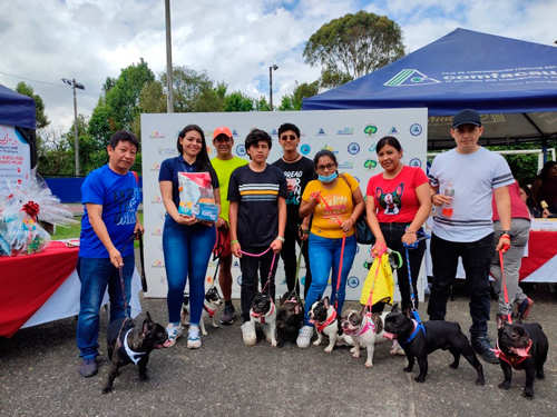 Festival Canino una jornada de salud y recreación para las mascotas Festival Canino una jornada de salud y recreación para las mascotas